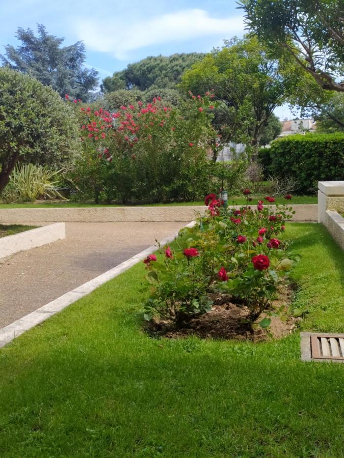 Eden Golfe Plages A Pieds Parking Prive Vallauris Luaran gambar